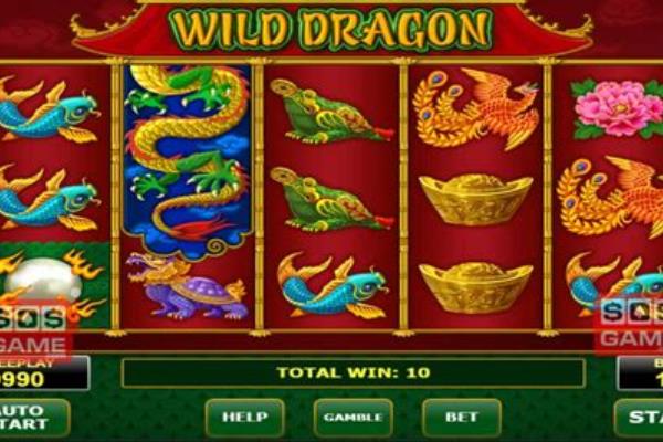 Wild Dragon Рокс Казино