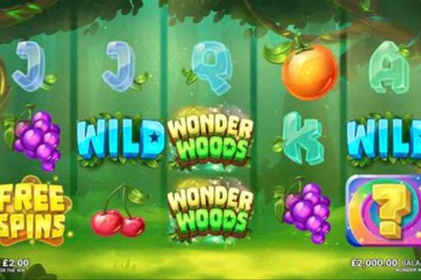 Wonder Woods Рокс Казино